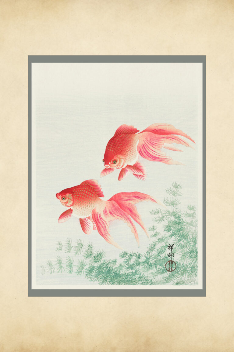 Vintage Goldfish 16x24